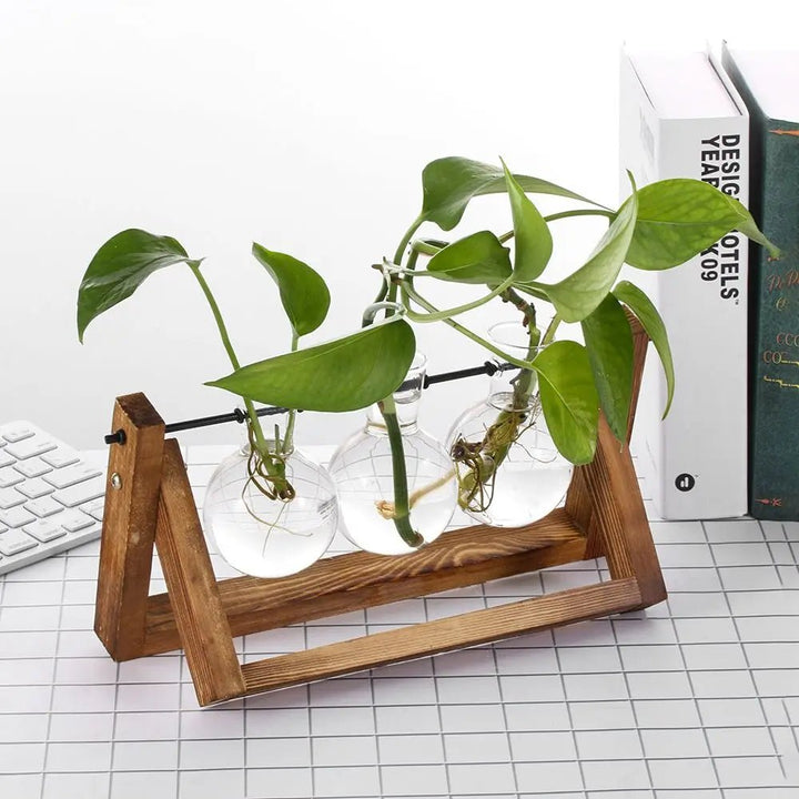 Hydroponic Tabletop Vase – Nature in a Frame - Clokari