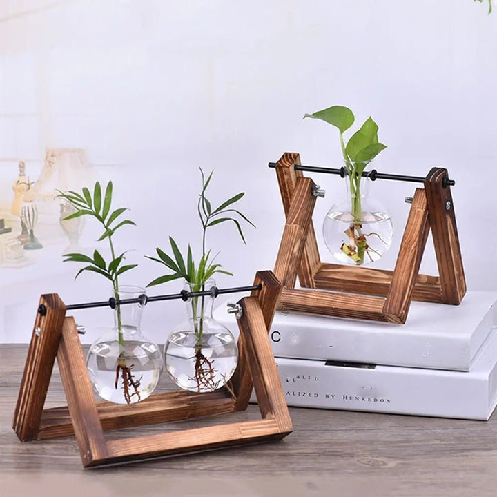 Hydroponic Tabletop Vase – Nature in a Frame - Clokari