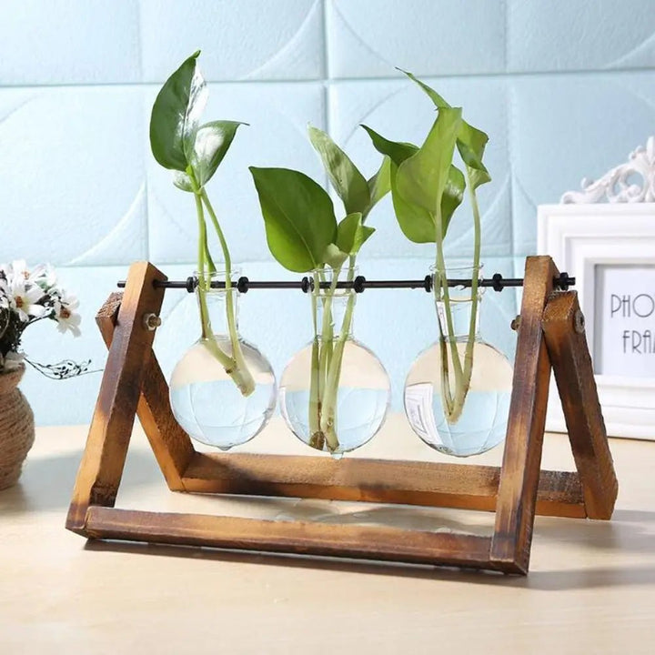 Hydroponic Tabletop Vase – Nature in a Frame - Clokari