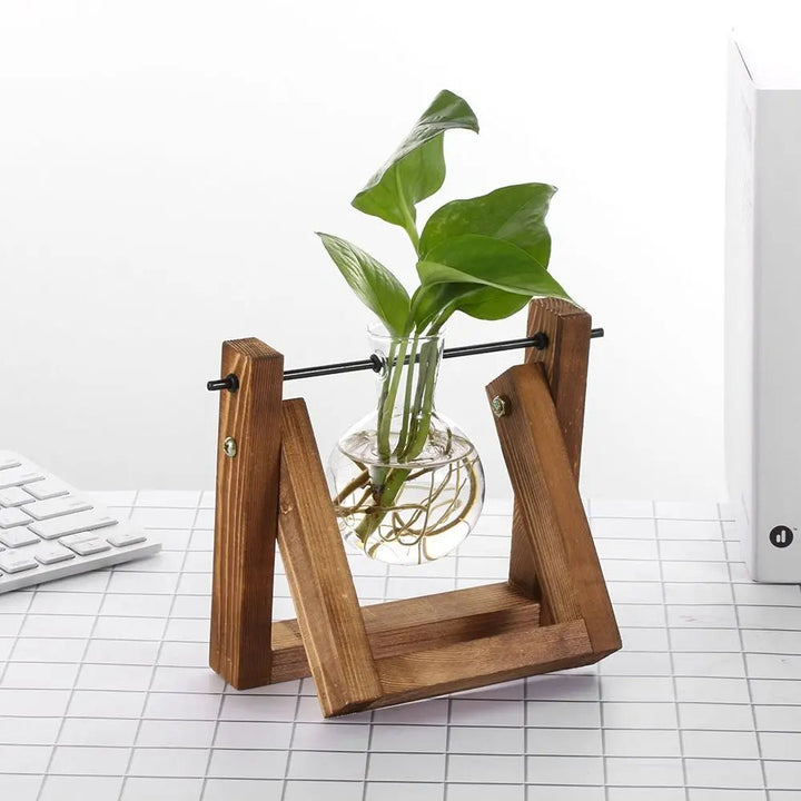 Hydroponic Tabletop Vase – Nature in a Frame - Clokari