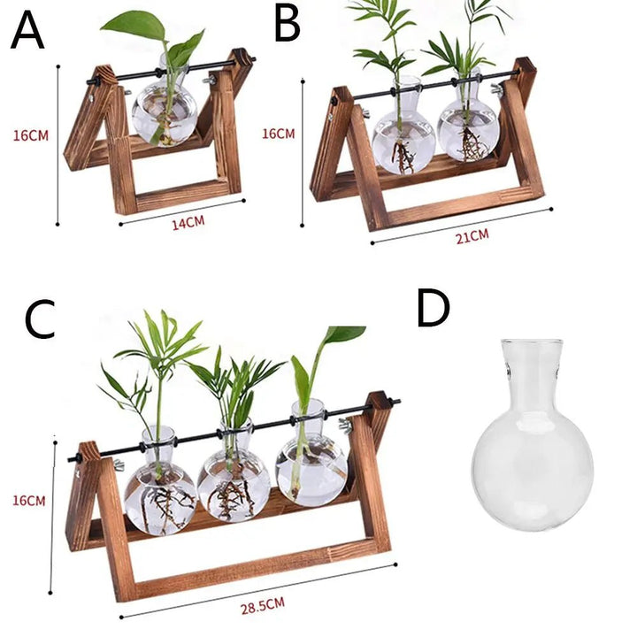 Hydroponic Tabletop Vase – Nature in a Frame - Clokari