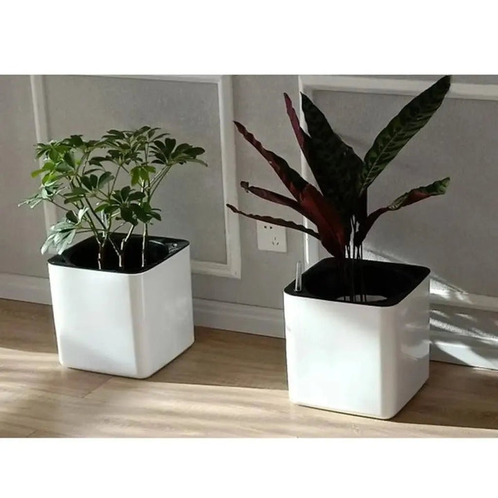 Self - Watering Planter with Water Indicator – Modern Pot for Plants - Clokari