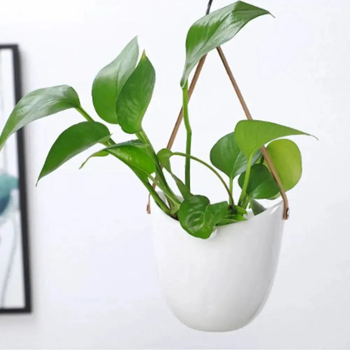 White Wall Hanging Planter – Portable Hydroponic Ceramic Pot - Clokari